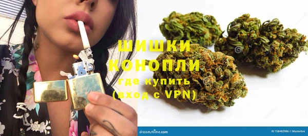 винт Верея